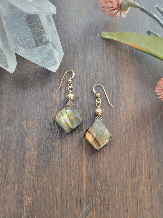 Labradorite Petal Earrings