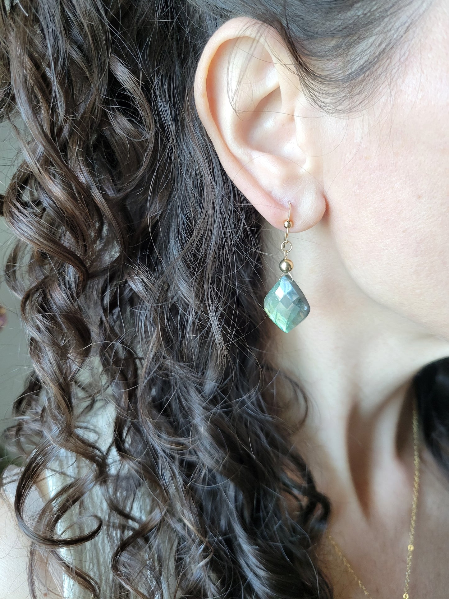 Labradorite Petal Earrings
