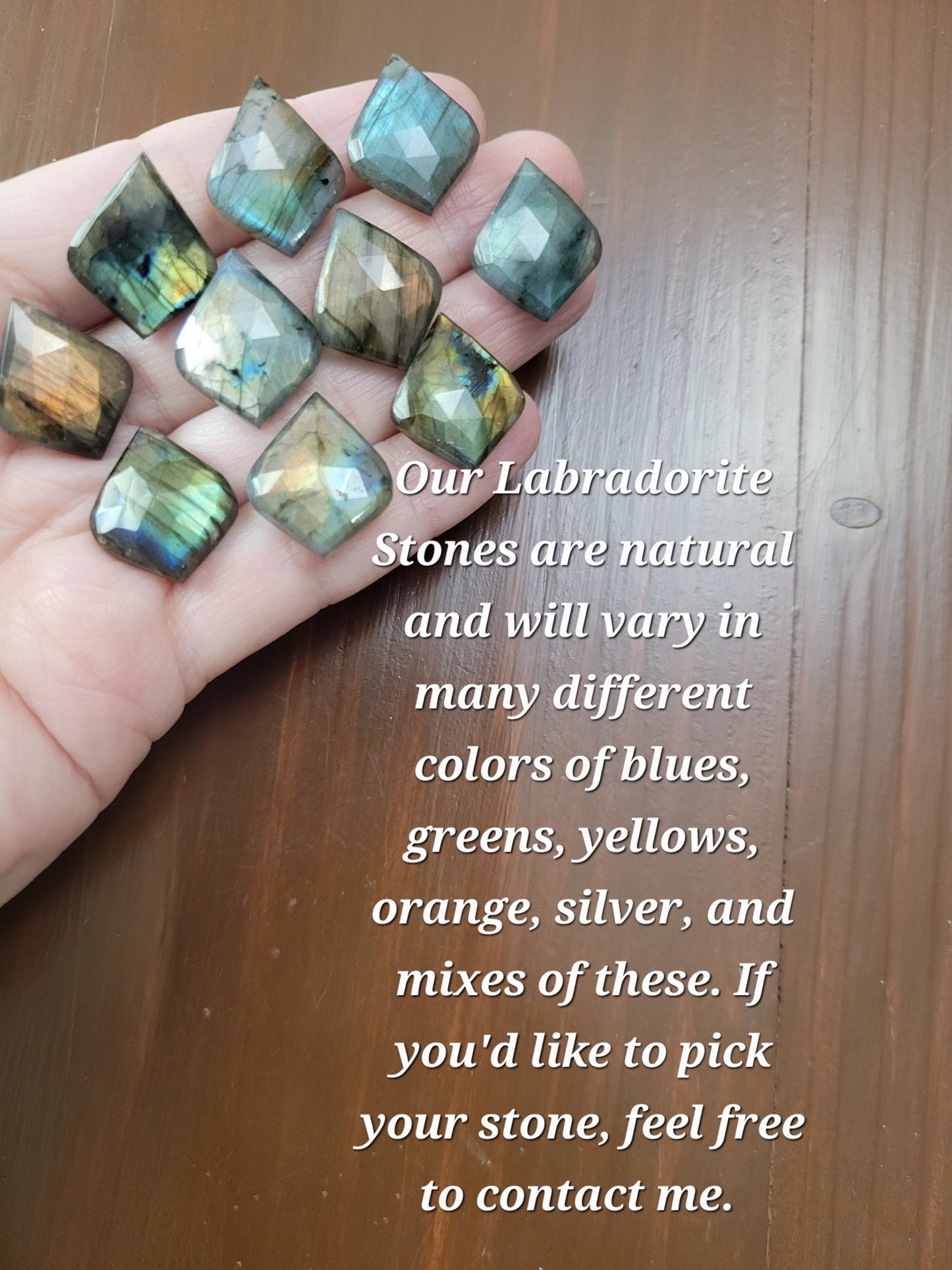 Labradorite Petal Earrings