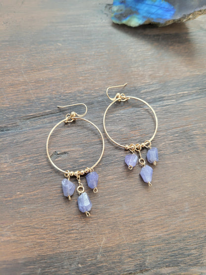 Tanzanite Dreams Earrings