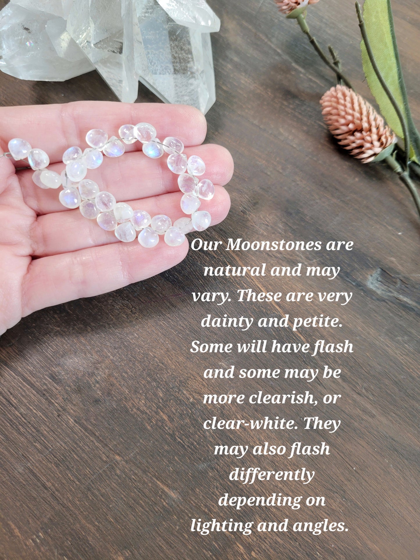 Dainty Moonstone Dangle Stud Earrings