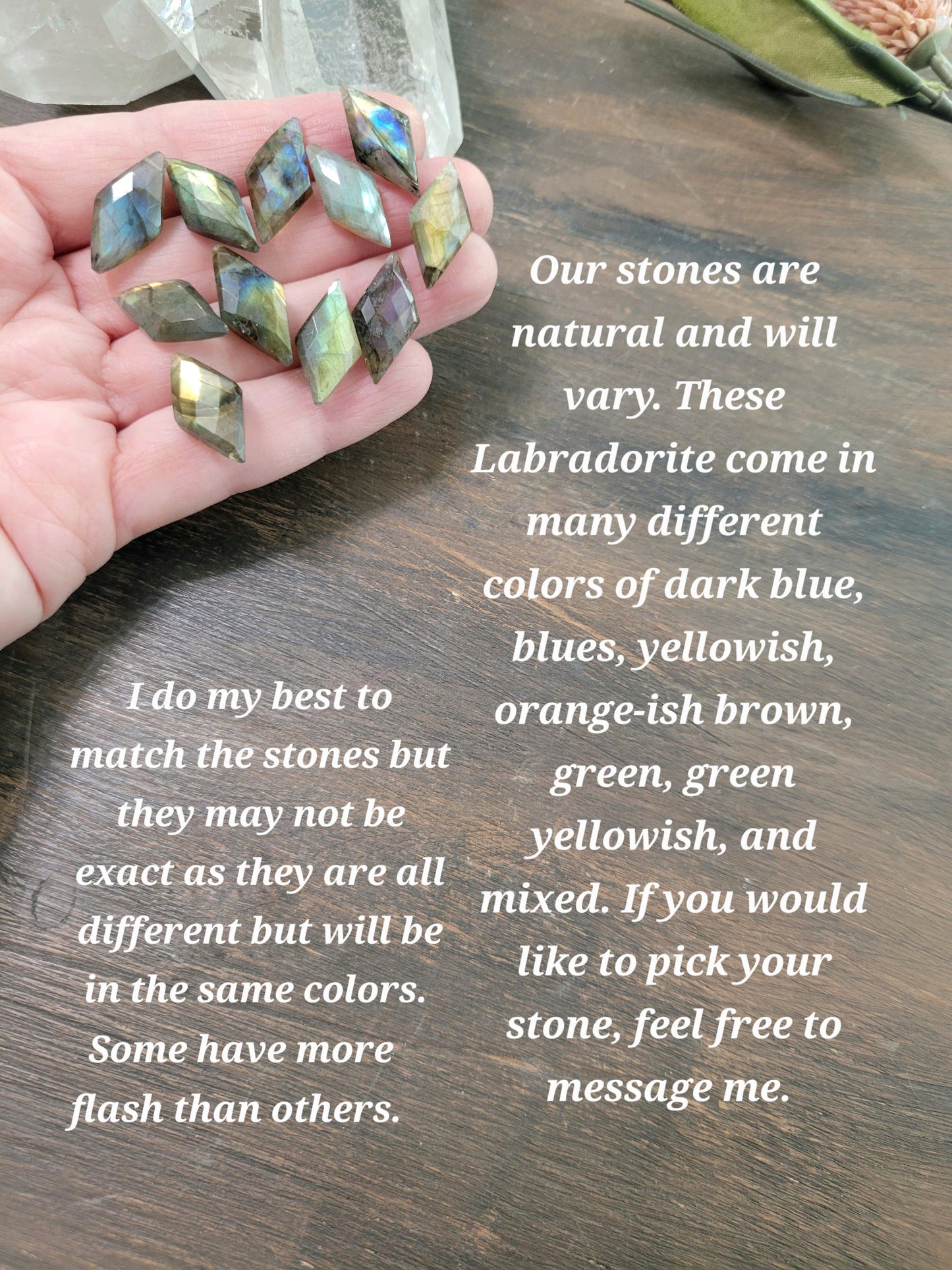 Labradorite V Fringe Earrings