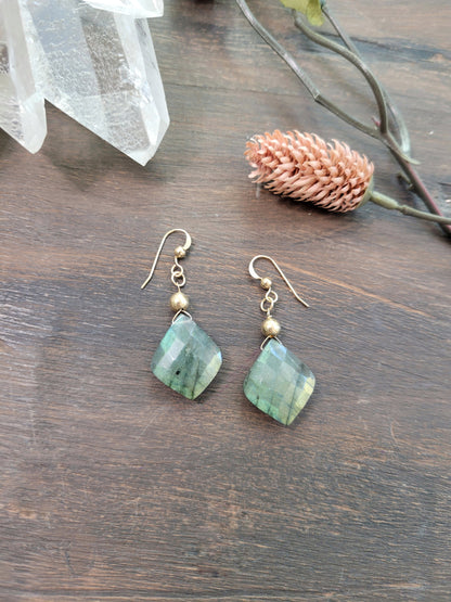 Labradorite Petal Earrings