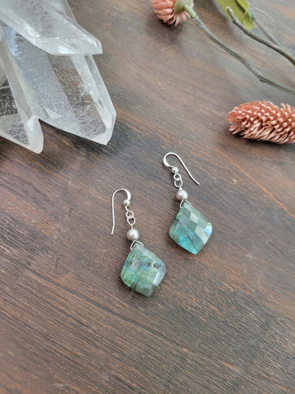 Labradorite Petal Earrings
