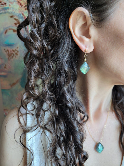 Labradorite Petal Earrings