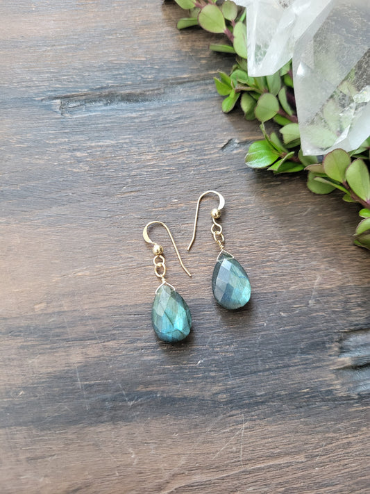 Dainty Labradorite Earrings