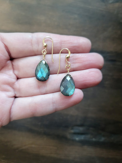 Dainty Labradorite Earrings