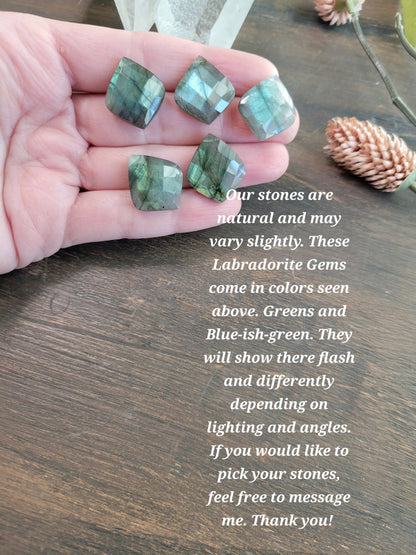 Labradorite Petal Necklace